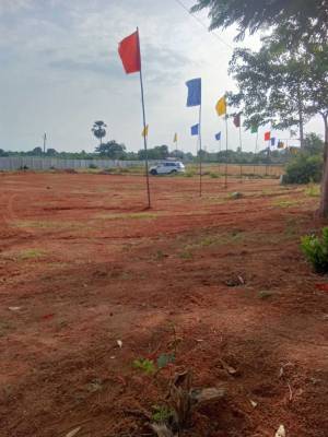 eastern-meadows Elevation Elevation