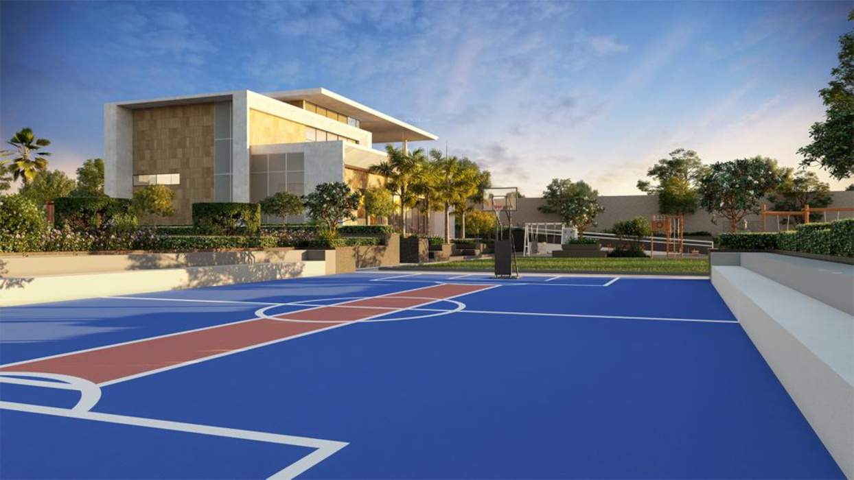  the rising Basketball Court