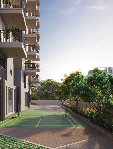  paramount Badminton Court