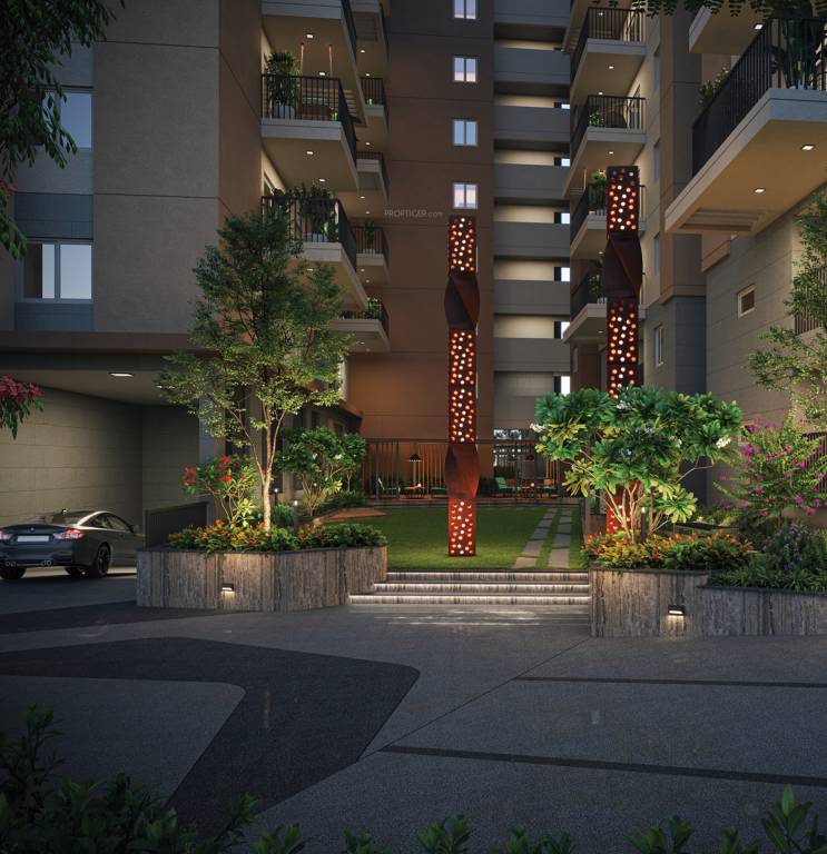  paramount Landscape Garden and Tree Planting