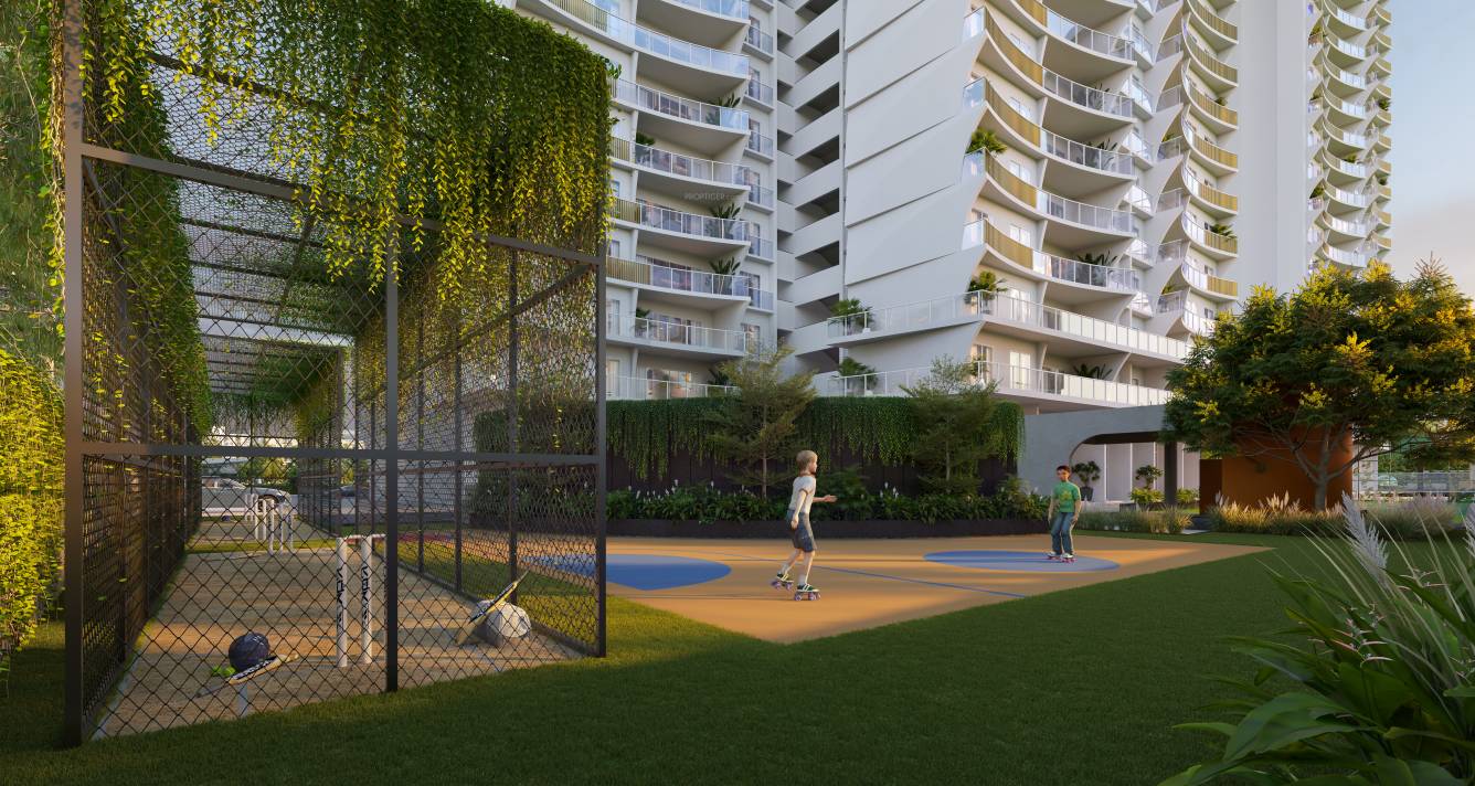  sorrento rosette Others