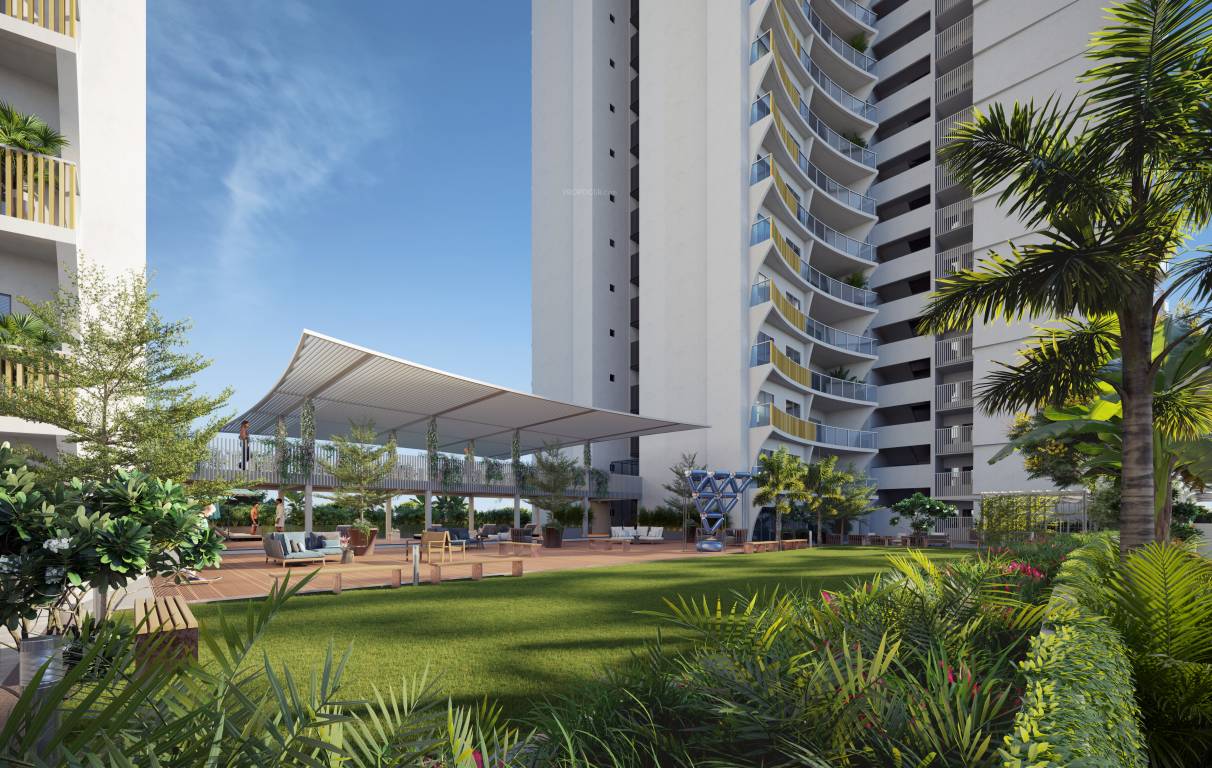  sorrento rosette Others