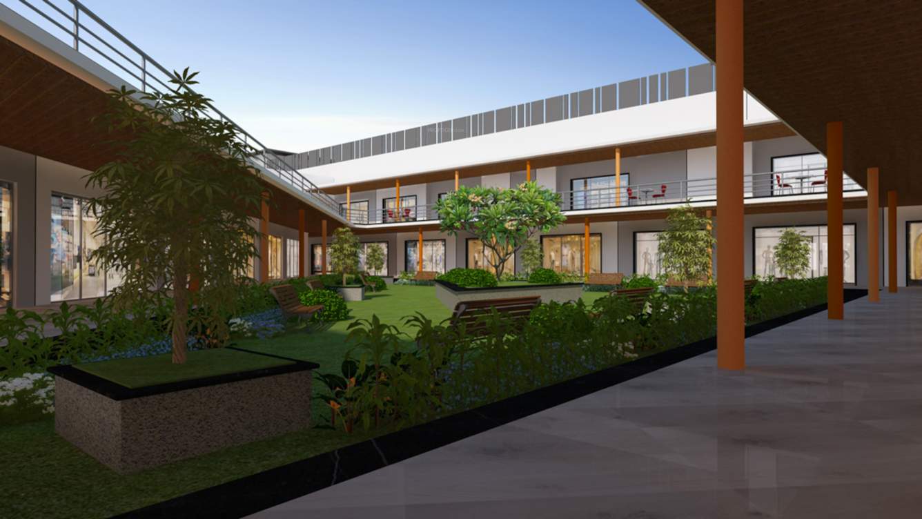  mercado Landscape Garden and Tree Planting