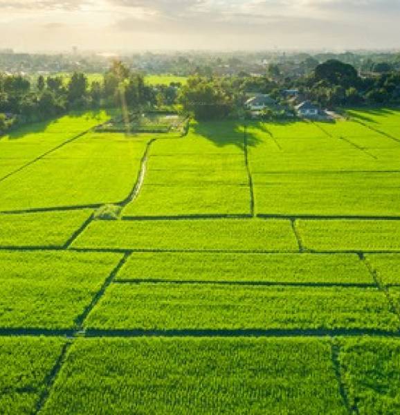 Elevation the-taj-greens Elevation