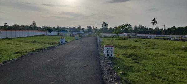  dream-villa-garden Plot