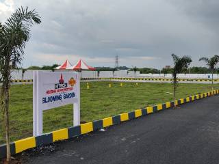 Project Image Project Image