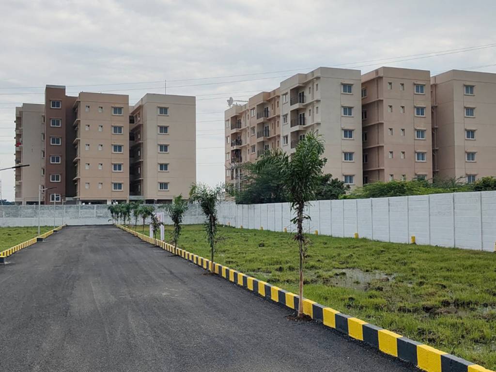  blooming garden Plot