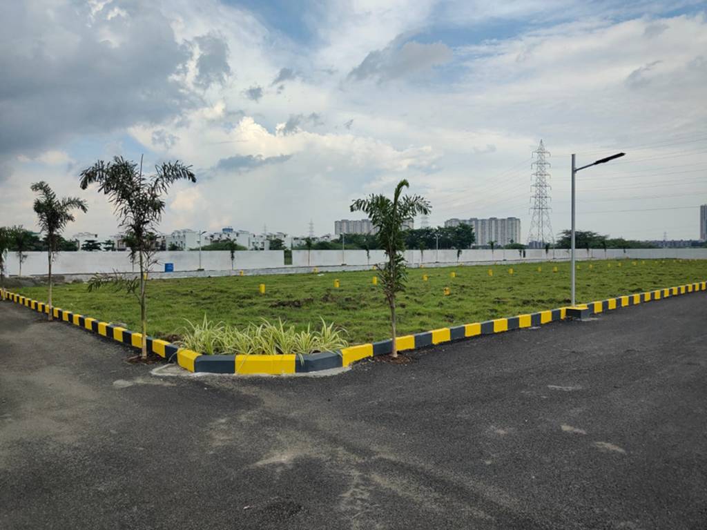  blooming garden Plot