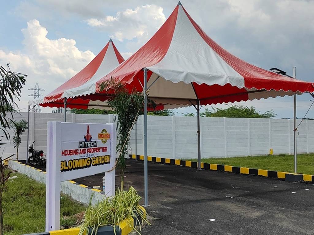  blooming garden Plot