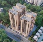 Elevation sepal-elegant-6 Elevation