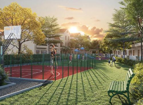 Basketball Court amaya Basketball Court