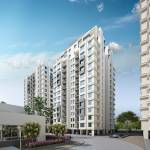  bluets-phase-9 Elevation