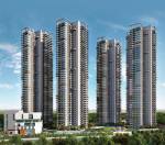 Elevation  avali Elevation