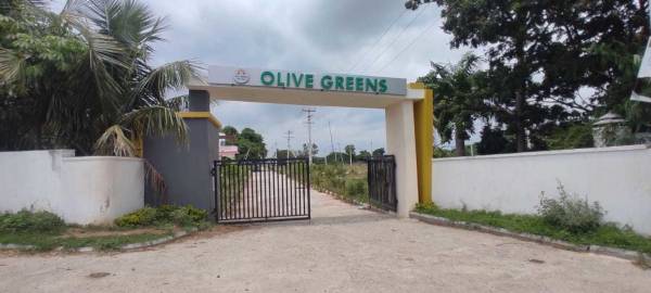  olive-greens Gated Community