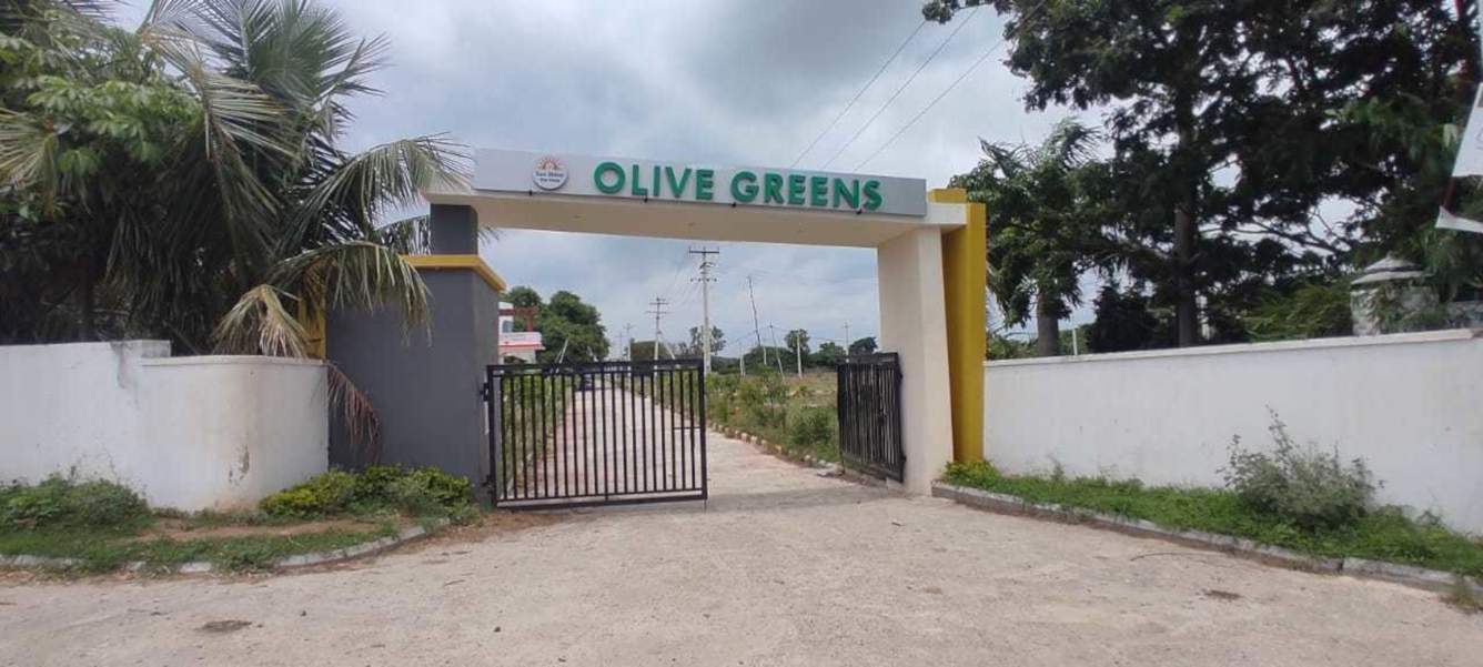  olive greens Gated Community