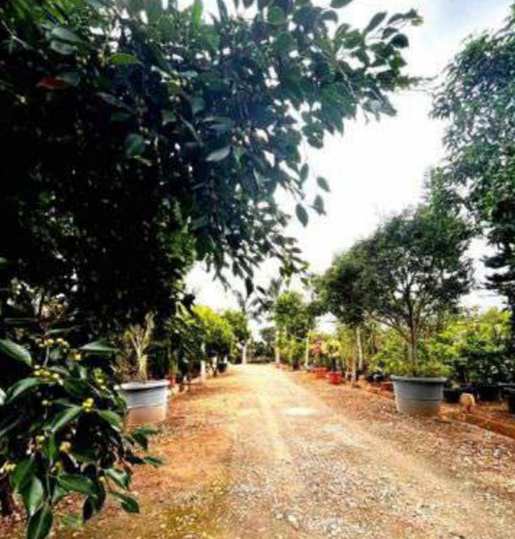  vatavaran Internal Roads