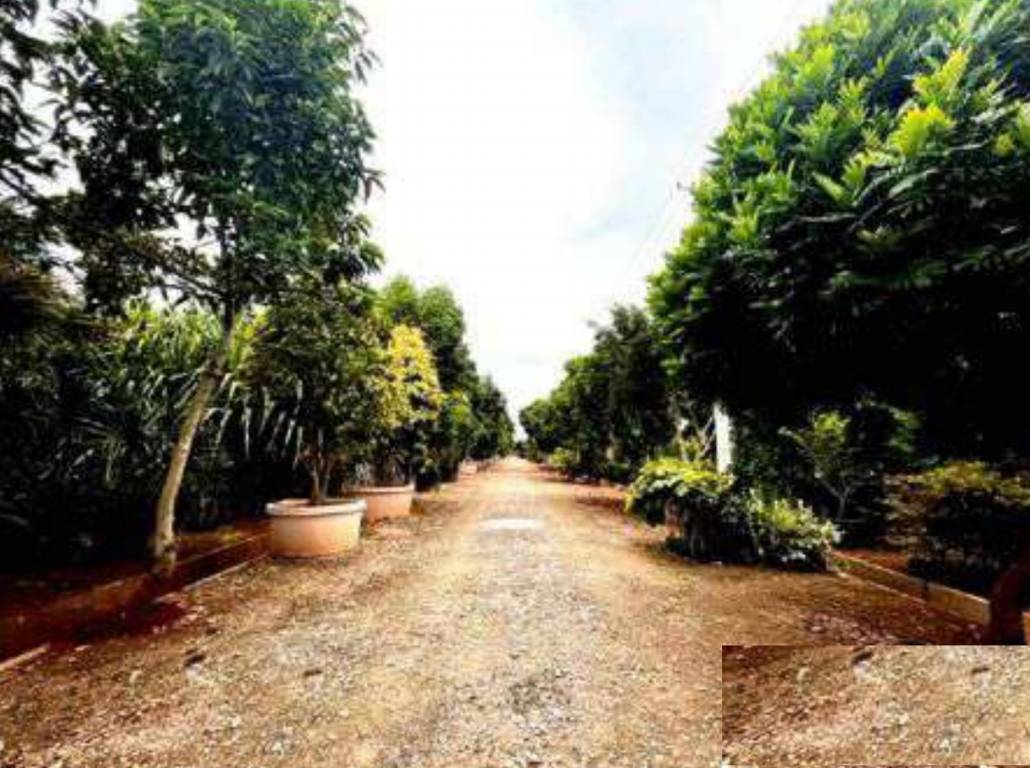  vatavaran Internal Roads