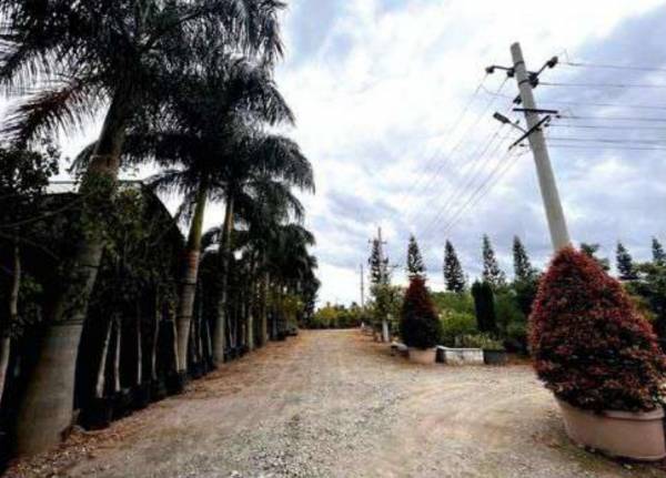  vatavaran Internal Roads