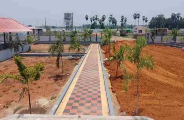 Plot green-delight-pride Plot