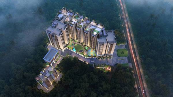 Elevation greens Elevation