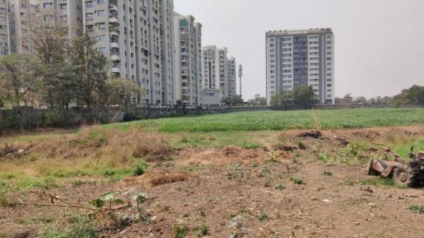  bilvam-amor Elevation