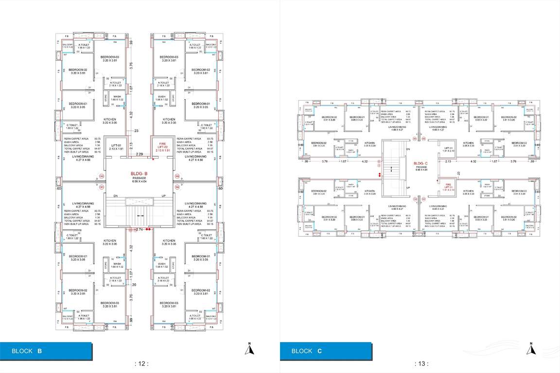  shukan river Block B And Block C Typical  Cluster Plan