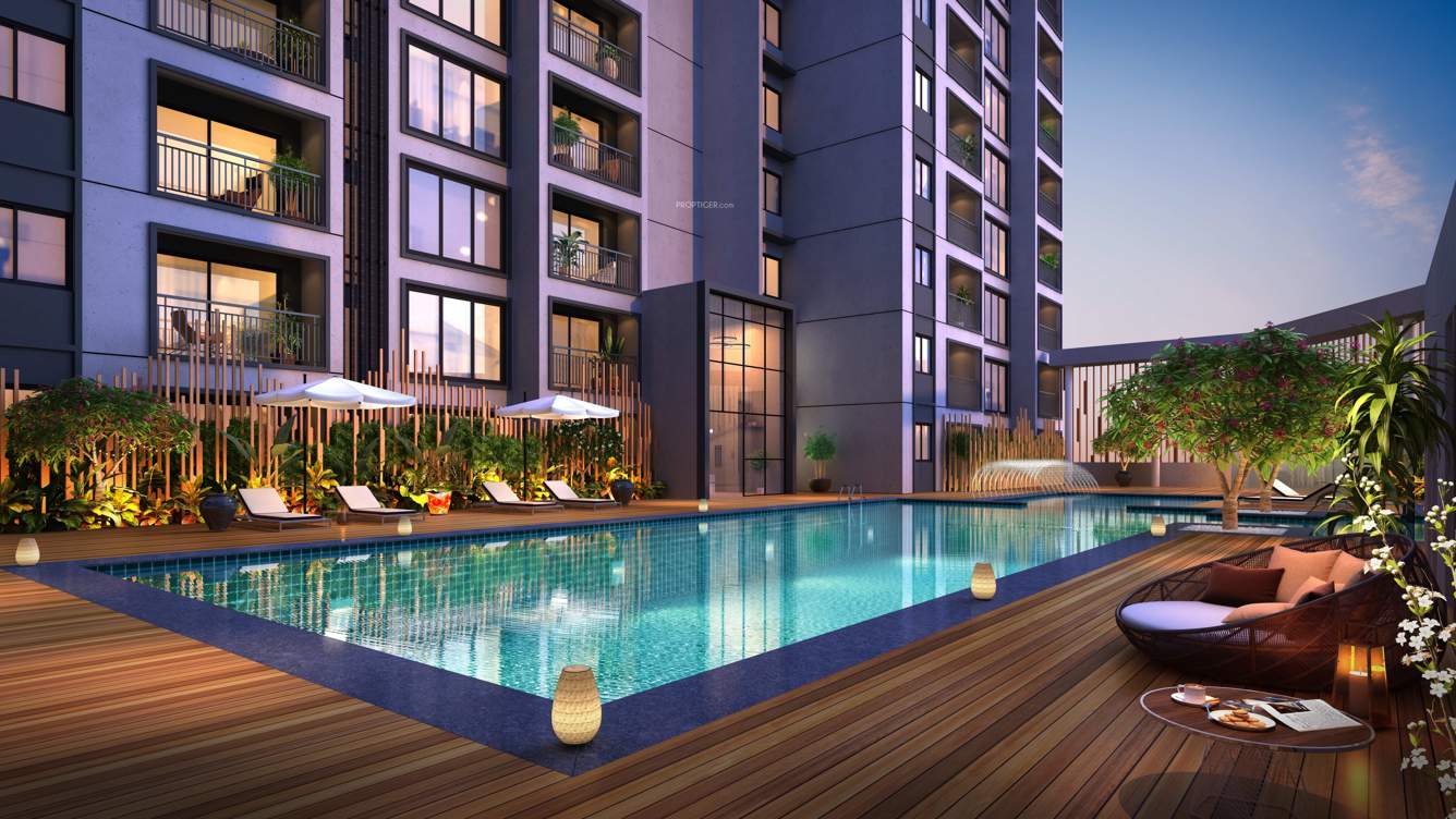  flamingo Swimming Pool