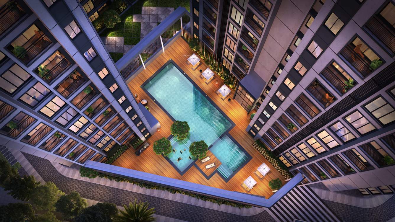  flamingo Swimming Pool