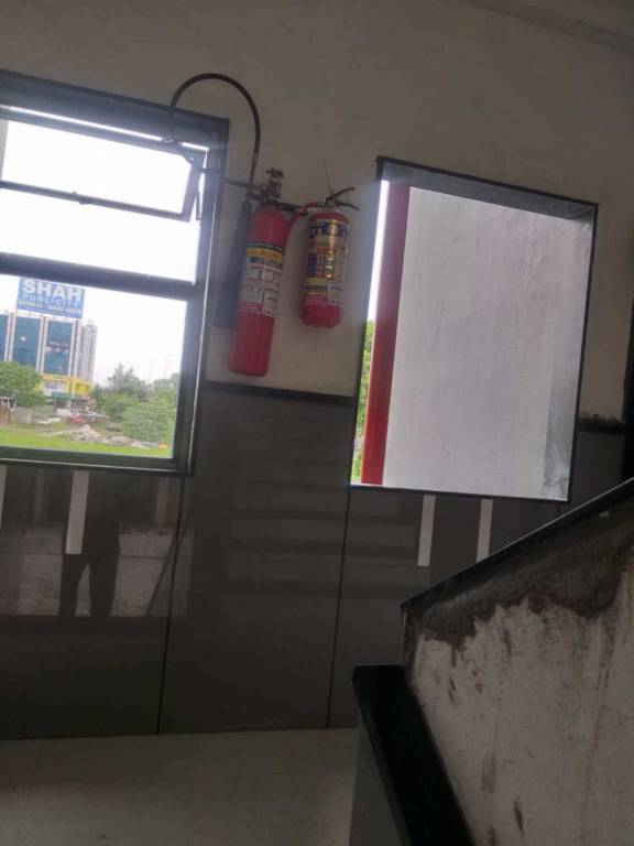 times shoppers Others