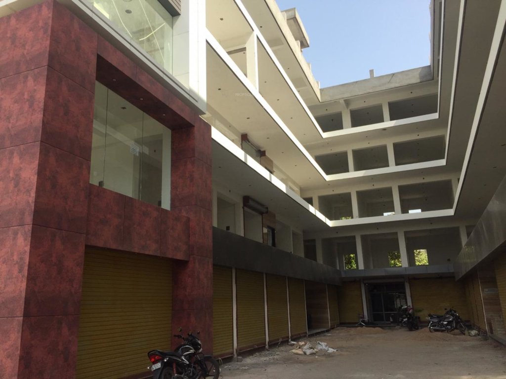 times shoppers Others