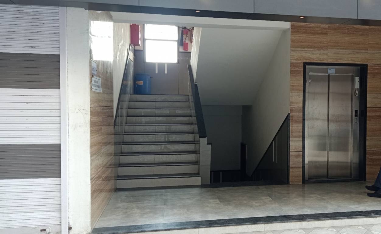 times shoppers Others