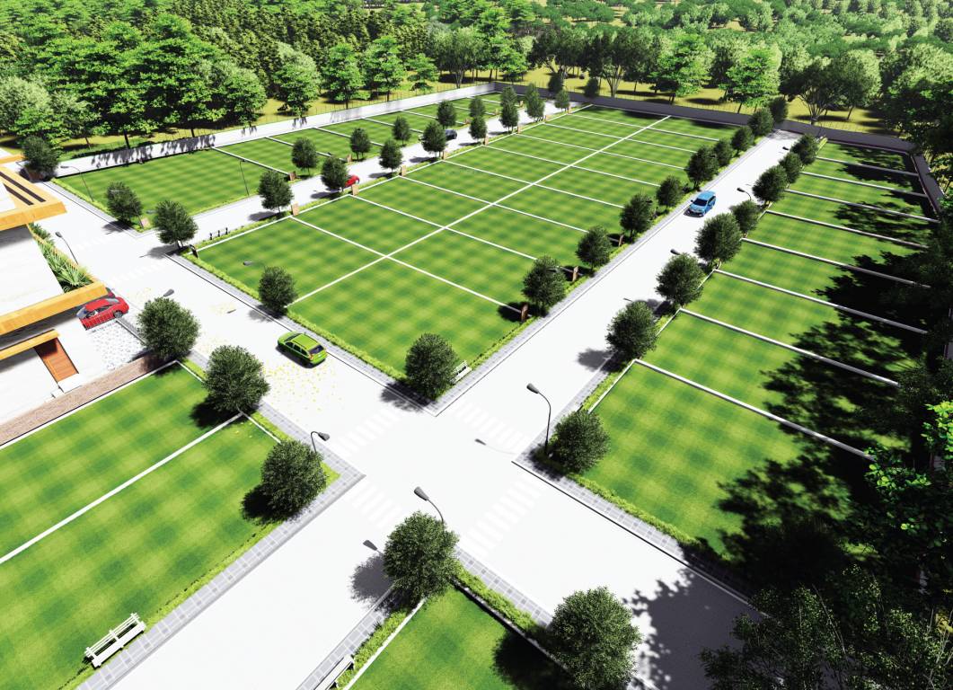 Elevation harmonia Elevation