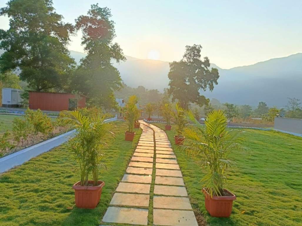  jambrung valley Landscape Garden and Tree Planting