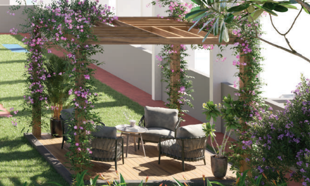  solitaire Senior Citizen Sitout