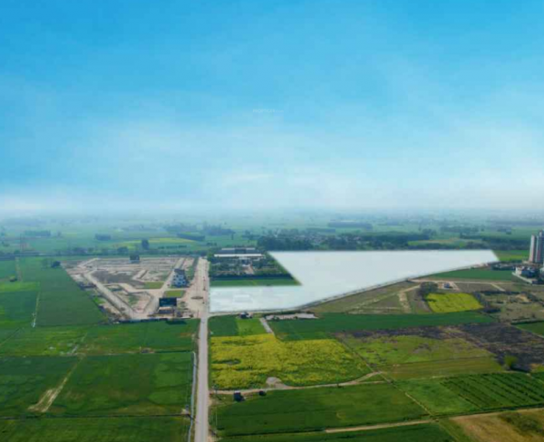 Plot greenwoods Plot