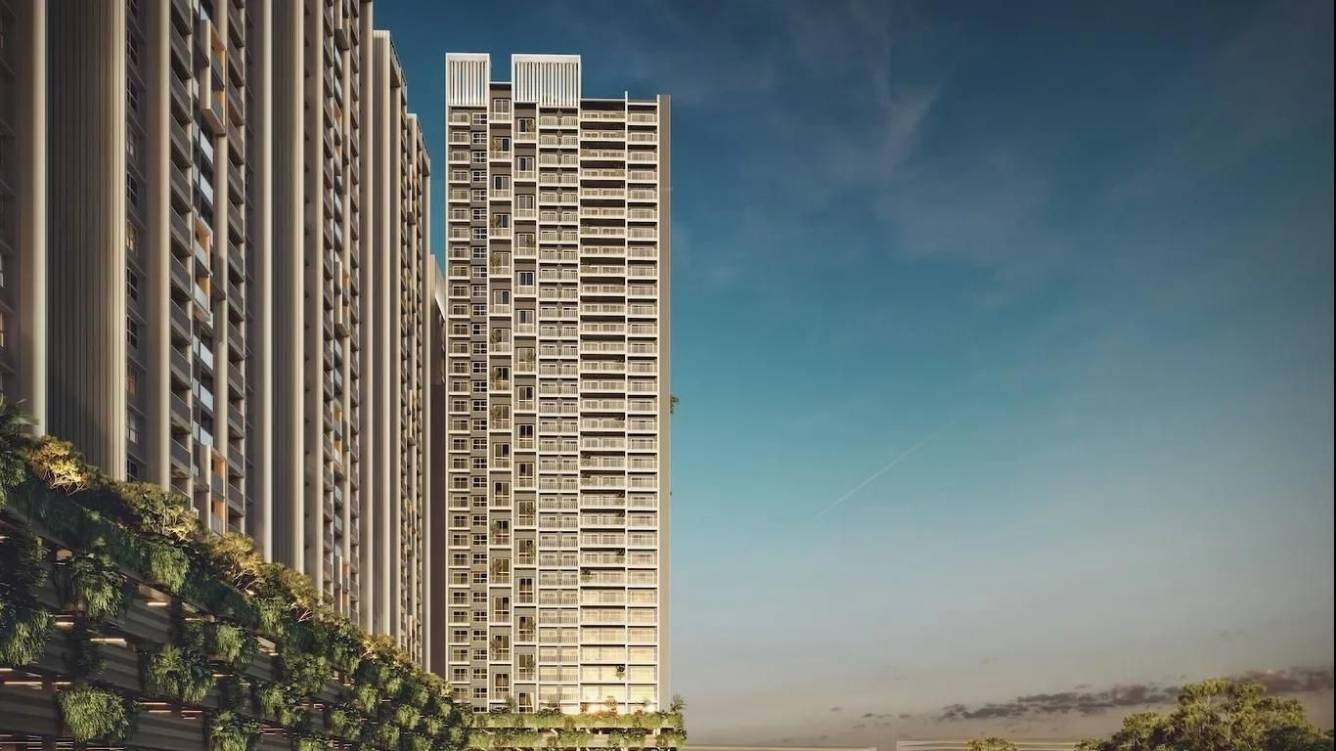 harita phase 1 Elevation