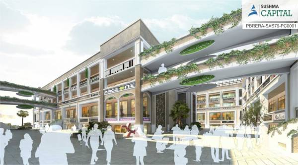  sushma-capital Elevation