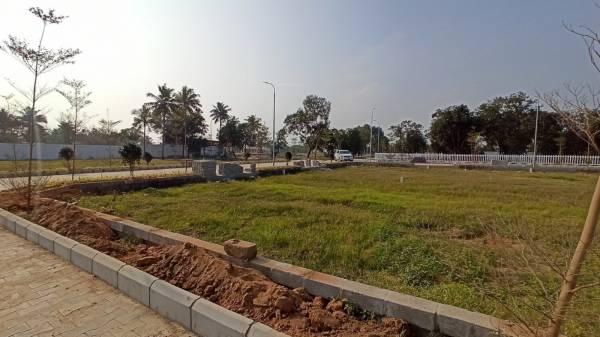 Elevation the-crest Elevation