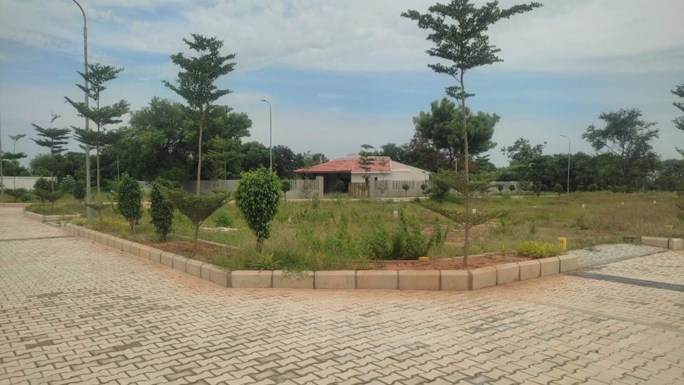  the crest phase 1 Others