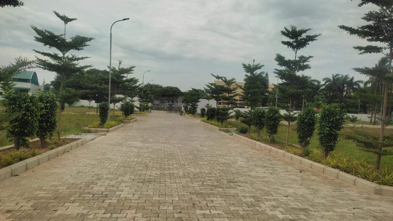  the crest phase 1 Others