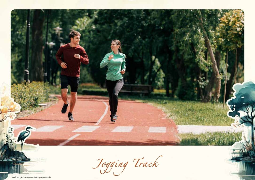  tvs emerald lakeshore Others