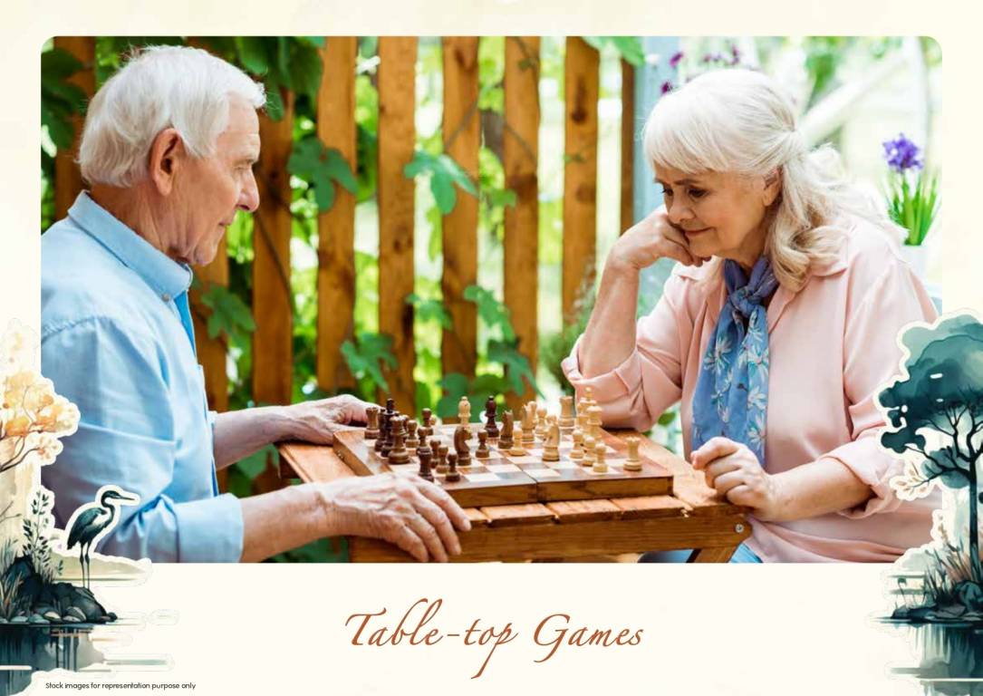  tvs emerald lakeshore Others