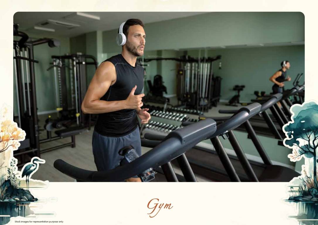  tvs emerald lakeshore Others