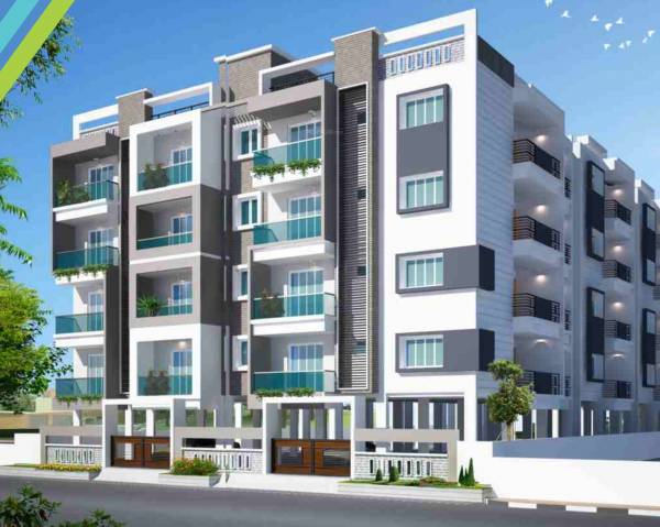 Elevation elite Elevation