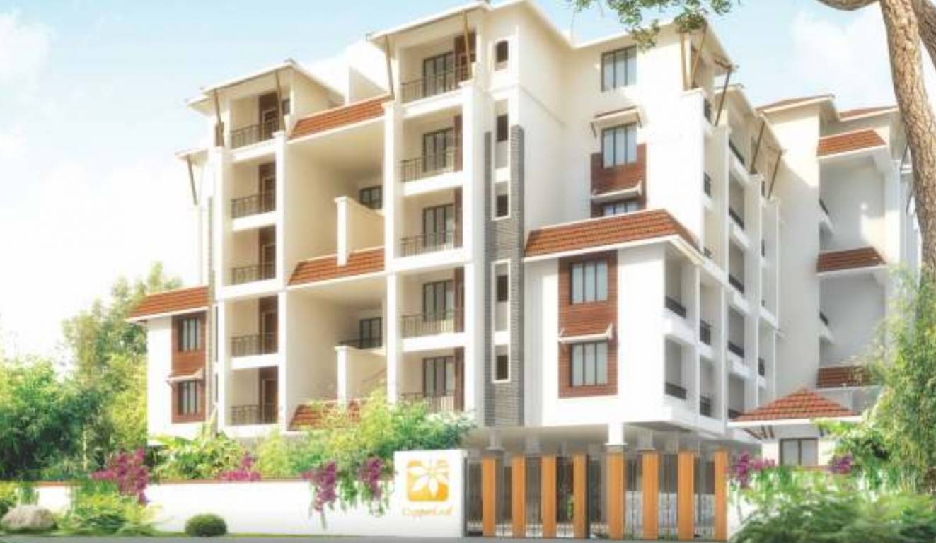  copper leaf Elevation