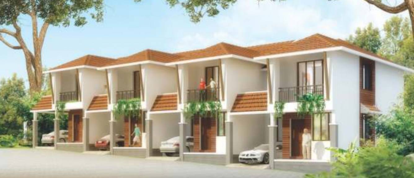  copper leaf Elevation