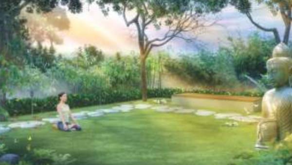  copper-leaf Yoga/Meditation Area