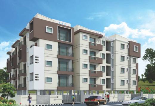 elite Elevation Elevation