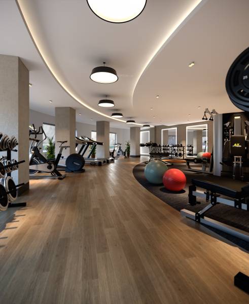  meadows-whispering-hill Gymnasium