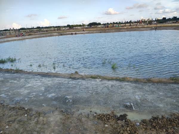 Others sunrise-estate Others